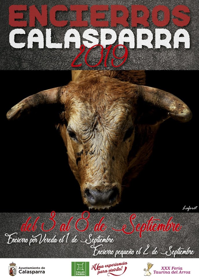 encierros -calasparra-2019.jpg